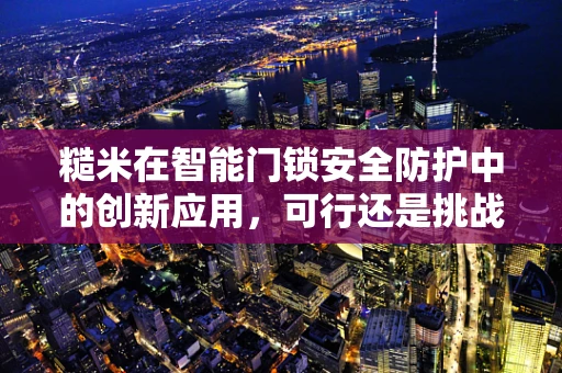 糙米在智能门锁安全防护中的创新应用，可行还是挑战？