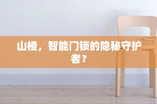 山楂，智能门锁的隐秘守护者？
