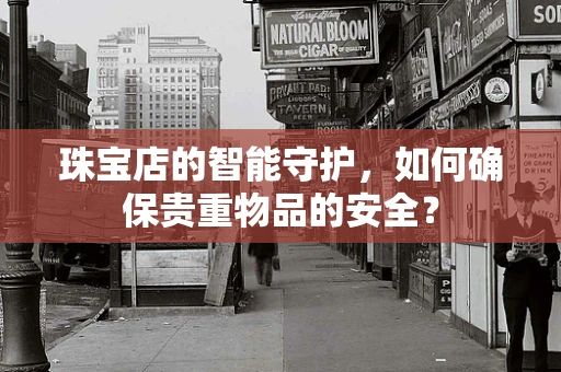 珠宝店的智能守护，如何确保贵重物品的安全？