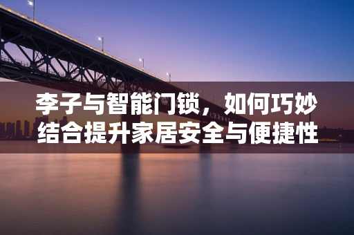 李子与智能门锁，如何巧妙结合提升家居安全与便捷性？