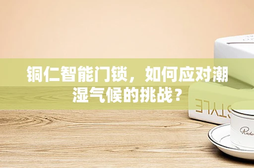 铜仁智能门锁，如何应对潮湿气候的挑战？