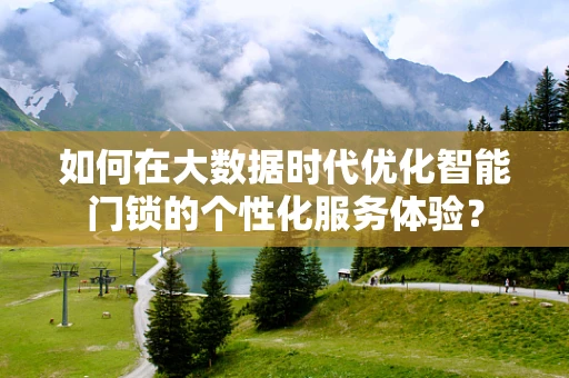 如何在大数据时代优化智能门锁的个性化服务体验？