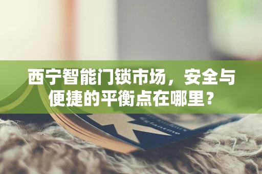 西宁智能门锁市场，安全与便捷的平衡点在哪里？