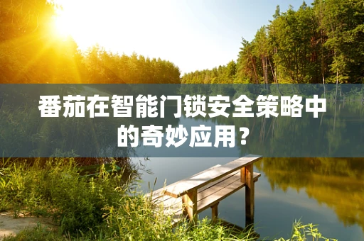 番茄在智能门锁安全策略中的奇妙应用？