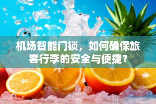 机场智能门锁，如何确保旅客行李的安全与便捷？
