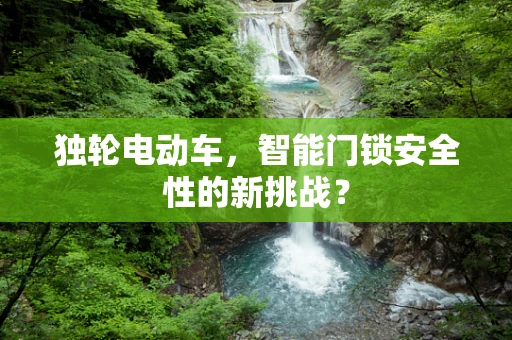 独轮电动车，智能门锁安全性的新挑战？