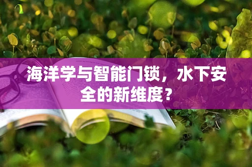 海洋学与智能门锁，水下安全的新维度？