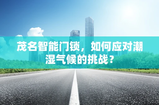 茂名智能门锁，如何应对潮湿气候的挑战？