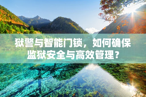 狱警与智能门锁，如何确保监狱安全与高效管理？