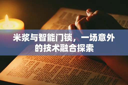 米浆与智能门锁，一场意外的技术融合探索