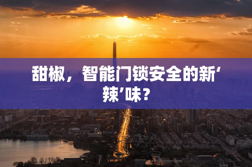 甜椒，智能门锁安全的新‘辣’味？