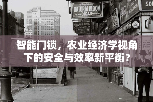 智能门锁，农业经济学视角下的安全与效率新平衡？