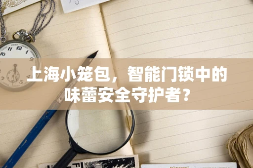 上海小笼包，智能门锁中的味蕾安全守护者？