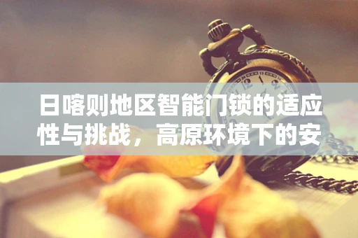 日喀则地区智能门锁的适应性与挑战，高原环境下的安全守护者