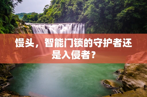 馒头，智能门锁的守护者还是入侵者？