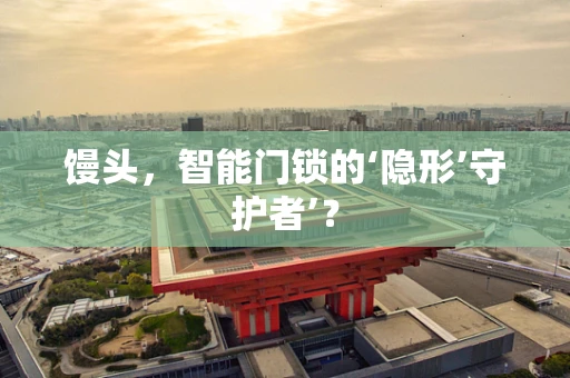 馒头，智能门锁的‘隐形’守护者’？