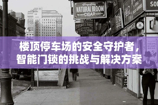 楼顶停车场的安全守护者，智能门锁的挑战与解决方案