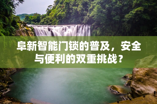 阜新智能门锁的普及，安全与便利的双重挑战？