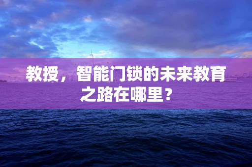 教授，智能门锁的未来教育之路在哪里？
