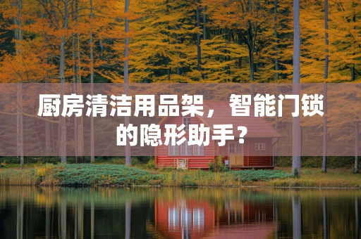厨房清洁用品架，智能门锁的隐形助手？