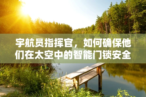 宇航员指挥官，如何确保他们在太空中的智能门锁安全与便利？