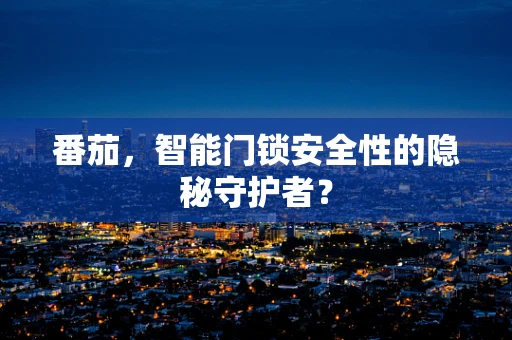 番茄，智能门锁安全性的隐秘守护者？