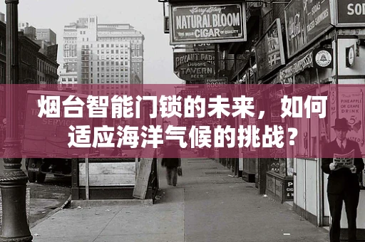 烟台智能门锁的未来，如何适应海洋气候的挑战？