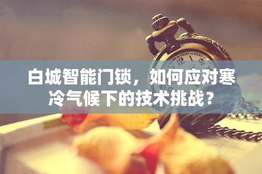 白城智能门锁，如何应对寒冷气候下的技术挑战？