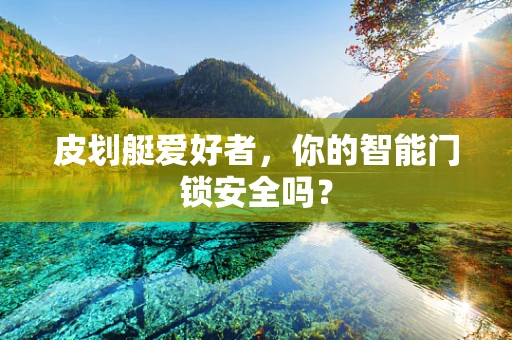 皮划艇爱好者，你的智能门锁安全吗？