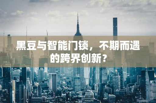 黑豆与智能门锁，不期而遇的跨界创新？