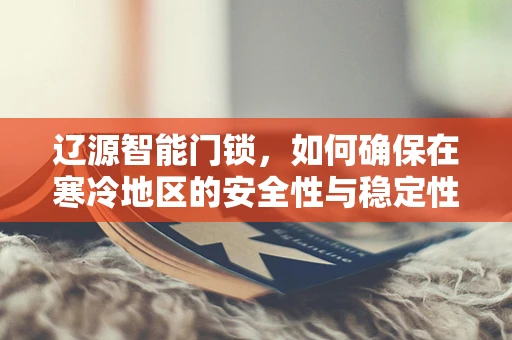 辽源智能门锁，如何确保在寒冷地区的安全性与稳定性？