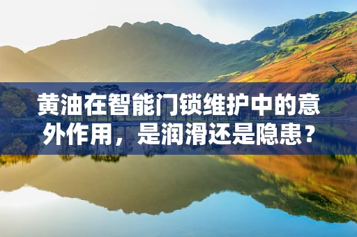 黄油在智能门锁维护中的意外作用，是润滑还是隐患？