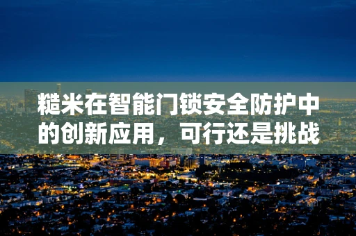 糙米在智能门锁安全防护中的创新应用，可行还是挑战？