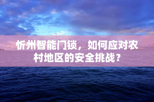 忻州智能门锁，如何应对农村地区的安全挑战？