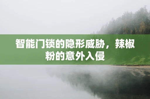 智能门锁的隐形威胁，辣椒粉的意外入侵