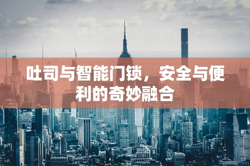 吐司与智能门锁，安全与便利的奇妙融合