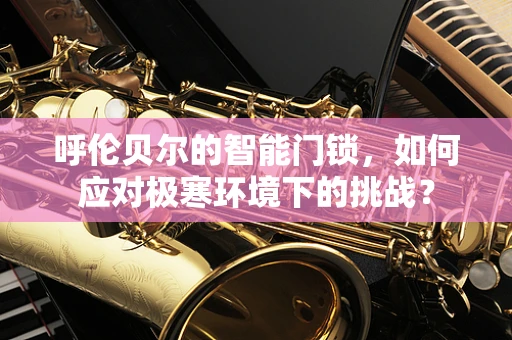 呼伦贝尔的智能门锁，如何应对极寒环境下的挑战？