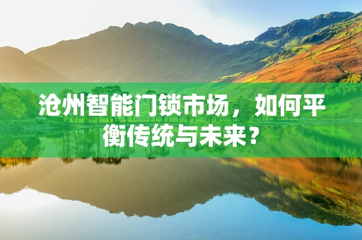 沧州智能门锁市场，如何平衡传统与未来？