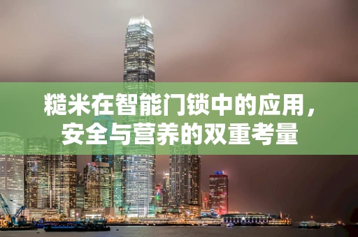 糙米在智能门锁中的应用，安全与营养的双重考量