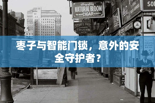 枣子与智能门锁，意外的安全守护者？
