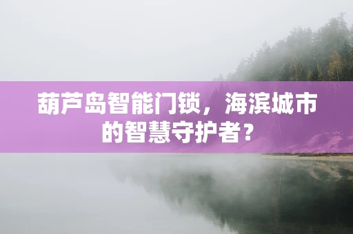 葫芦岛智能门锁，海滨城市的智慧守护者？