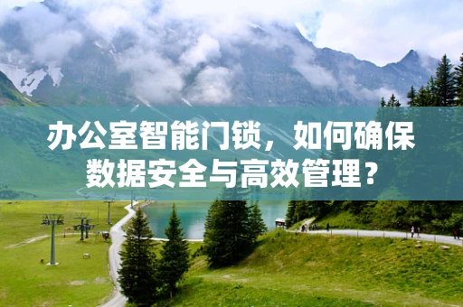 办公室智能门锁，如何确保数据安全与高效管理？