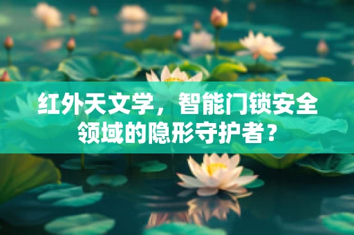 红外天文学，智能门锁安全领域的隐形守护者？