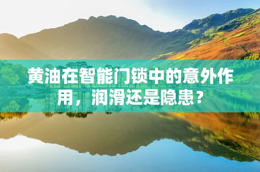 黄油在智能门锁中的意外作用，润滑还是隐患？