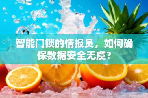 智能门锁的情报员，如何确保数据安全无虞？