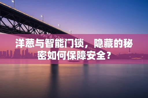 洋葱与智能门锁，隐藏的秘密如何保障安全？