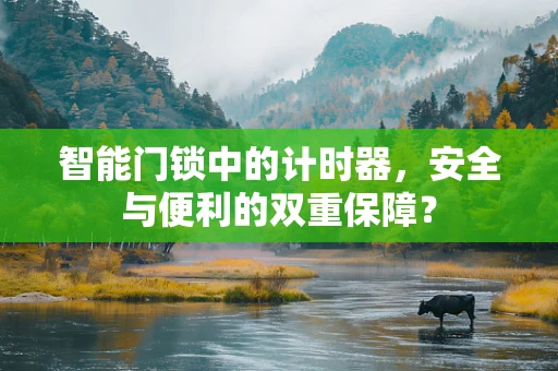 智能门锁中的计时器，安全与便利的双重保障？