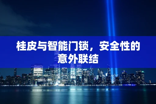 桂皮与智能门锁，安全性的意外联结
