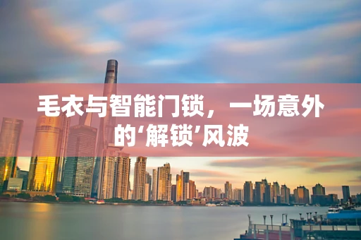 毛衣与智能门锁，一场意外的‘解锁’风波