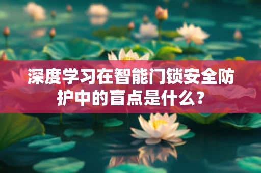 深度学习在智能门锁安全防护中的盲点是什么？